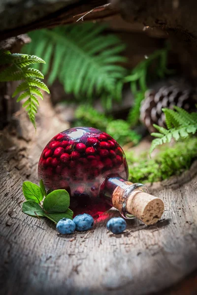 Licor doce feito de mirtilos e álcool na floresta — Fotografia de Stock