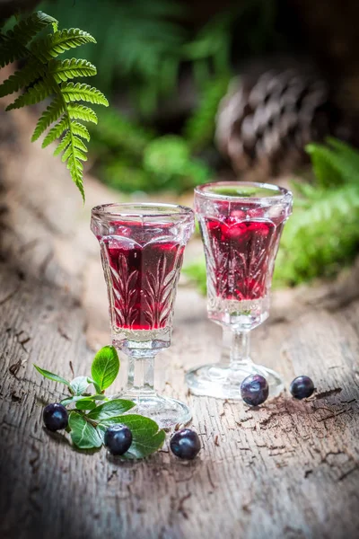 Licor saboroso feito de álcool e mirtilos na floresta — Fotografia de Stock