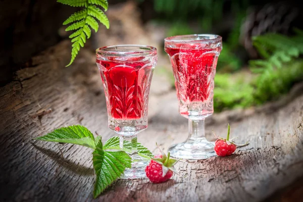 Delicioso licor de framboesas feito de frutas e álcool na floresta — Fotografia de Stock