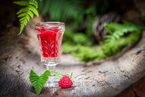 Licor de framboesas feito de frutas e álcool na floresta — Fotografia de Stock