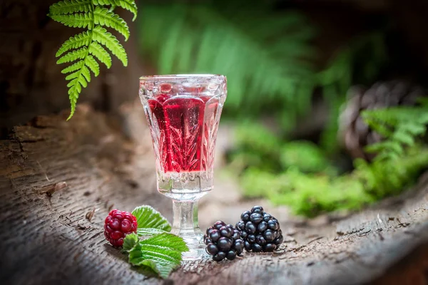 Licor doce feito de álcool e amoras na floresta — Fotografia de Stock
