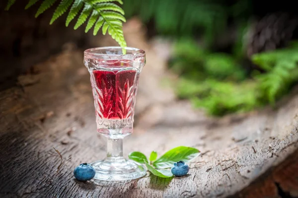 Liqueur forte avec alcool et bleuets en été — Photo