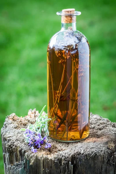 Sayatan sehat yang terbuat dari lavender di musim panas — Stok Foto