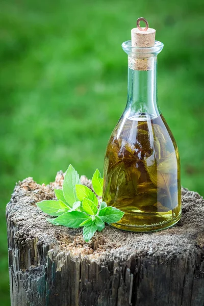 Licor caseiro feito de álcool e alho — Fotografia de Stock