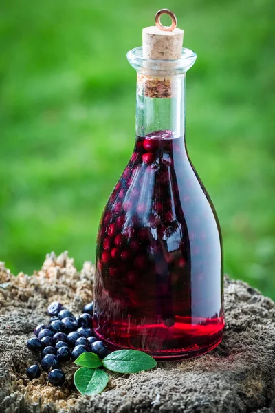 Bir şişe alkol ve yaban mersini yapılmış lezzetli likör — Stok fotoğraf