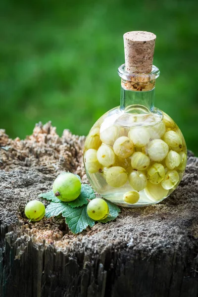 Liqueur sucrée à base d'alcool et de groseilles à maquereau en été — Photo