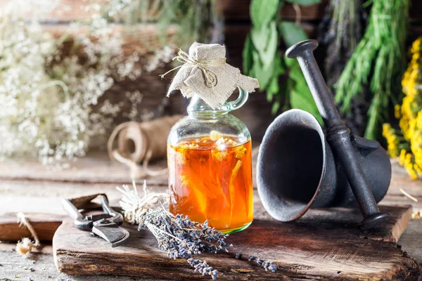 Terapeutiske urter i flasker med alkohol og honning – stockfoto