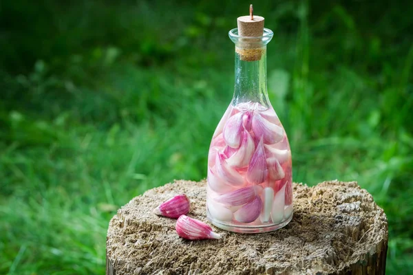 Natural liqueur with garlic and alcohol in summer — Stock Image Natural liqueur with garlic and alcohol in summer Royalty Free Stock Images