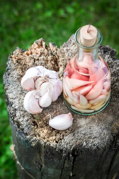 Homemade liqueur with alcohol and garlic in summer — Stock Image Homemade liqueur with alcohol and garlic in summer Royalty Free Stock Photos