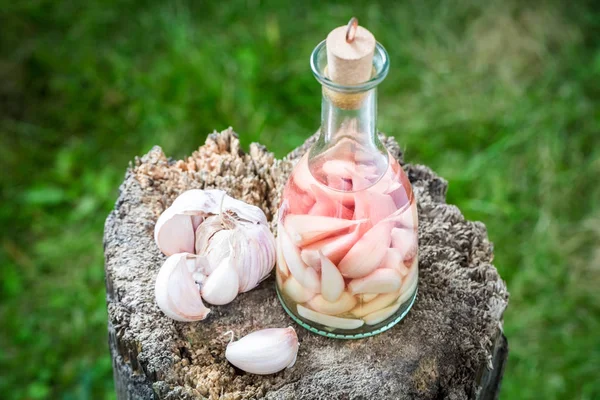 Natural liqueur with alcohol and garlic in summer — Stock Image Natural liqueur with alcohol and garlic in summer Stock Photo
