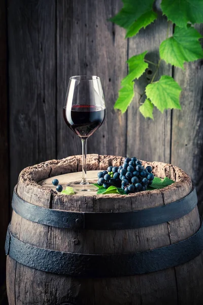 Copo de vinho tinto e uvas frescas no barril velho — Fotografia de Stock
