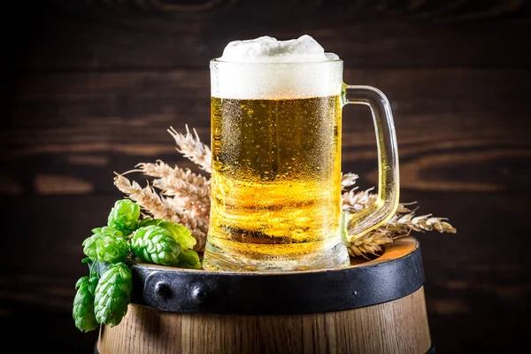 Cerveza fresca con espuma, trigo y lúpulo en barril de madera — Foto de Stock