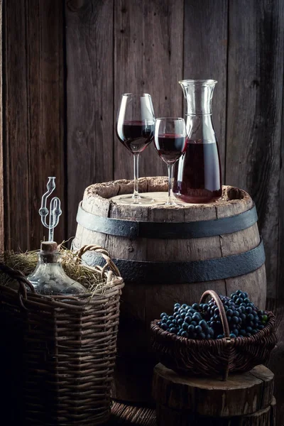Домашнее красное вино со свежим виноградом в старом подвале — стоковое фото