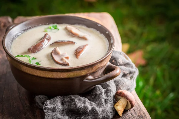 Yummy mushroom soup on old wooden table — Stock Photo, Image