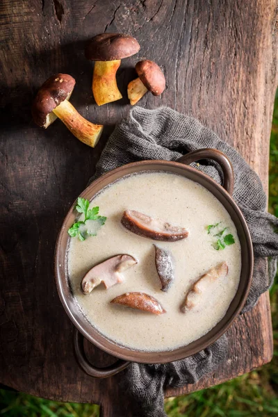 Pronto para comer sopa de cogumelos com cogumelos e salsa — Fotografia de Stock