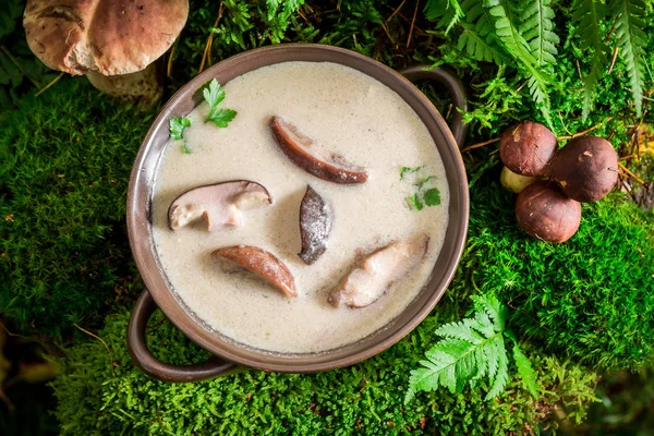 Pronto para comer creme de boleto feito de cogumelos nobres — Fotografia de Stock