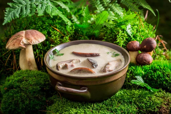 Gotowe do spożycia zupa grzybowa na zielony mech w lesie — Zdjęcie stockowe