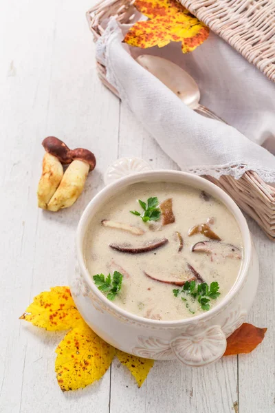 Enjoy your mushroom soup made of noble mushrooms — Stock Photo, Image