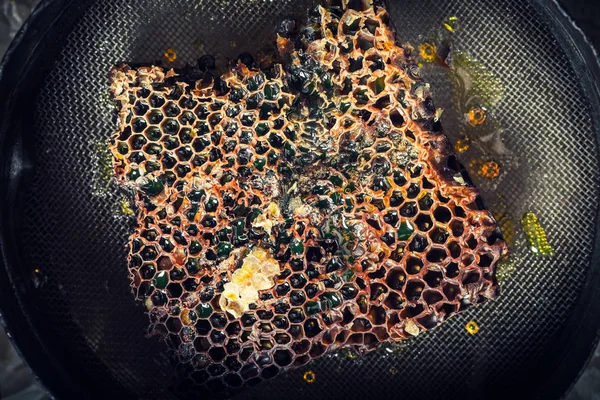 Крупный план меда в старых пчеловодческих инструментах — стоковое фото