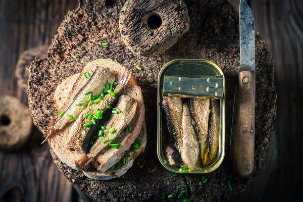 Sandwich von oben mit Sprotten und Vollkornbrot — Stockfoto