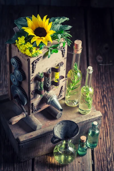 Unique virgin oil machine with sunflower and seeds — Stock Photo, Image