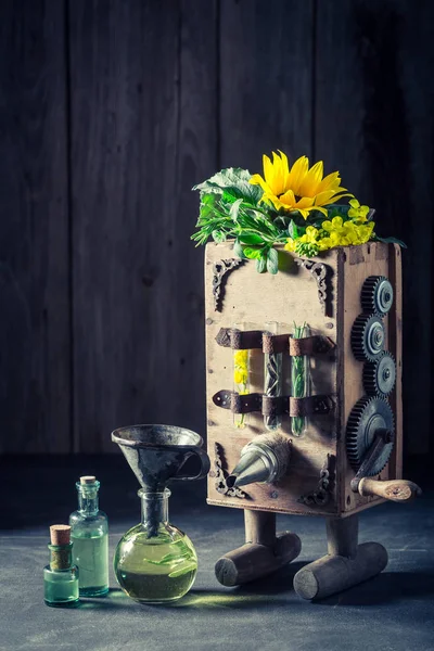 Original machine to make oil with sunflower and seeds — Stock Photo, Image