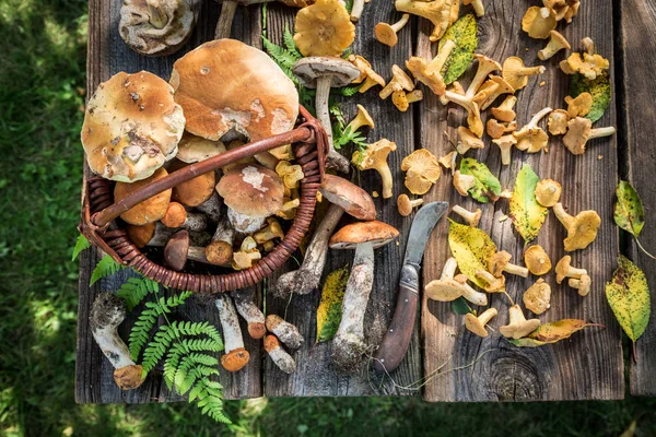 Благородні дикі гриби на старому дерев'яному сільському столі — стокове фото