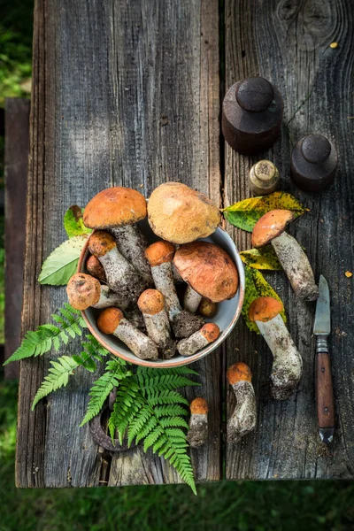 가 수집 하는 다양 한 야생 버섯 — 스톡 사진