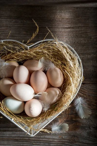 Ik hou van vrije uitloop eieren van het platteland — Stockfoto