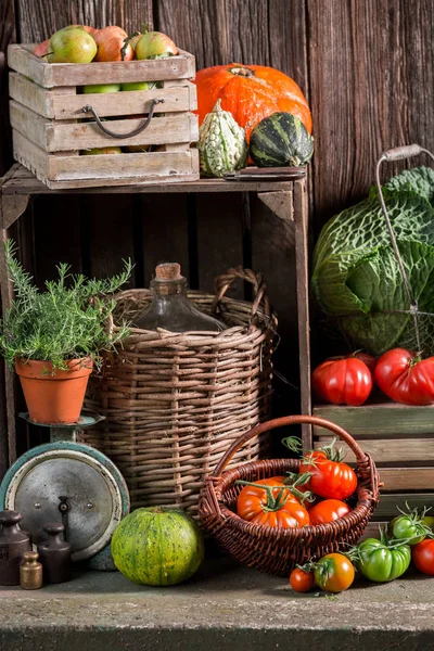 収穫した野菜や果物をヴィンテージのパントリー — ストック写真