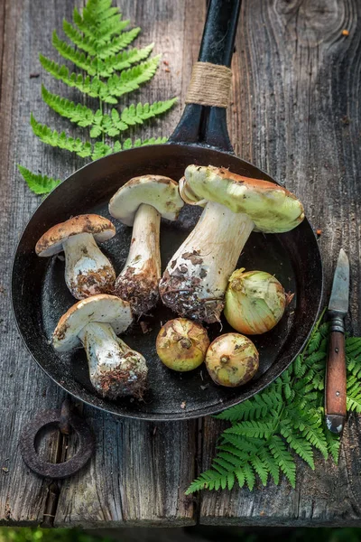 Fresh boletus and onion on the pan — Stock Photo, Image