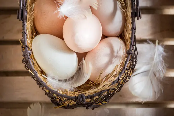 Vol vitaminen vrije uitloop eieren met kip veren — Stockfoto