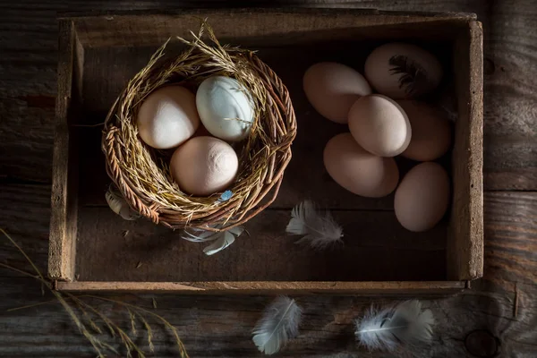 Huevos sanos y libres del gallinero — Foto de Stock