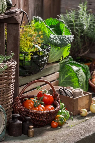 Старая кладовая с овощами и фруктами — стоковое фото