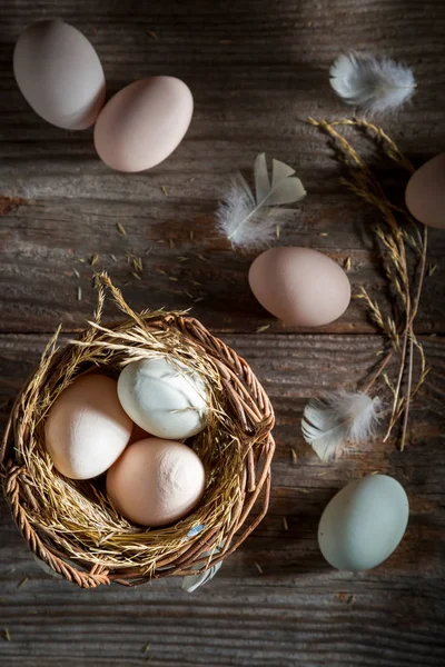 Huevos frescos y ecológicos del campo — Foto de Stock