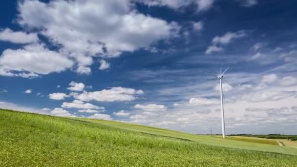 Windmühle auf der grünen Wiese im Sommer an einem sonnigen Tag, Zeitraffer, 4k — Stockvideo
