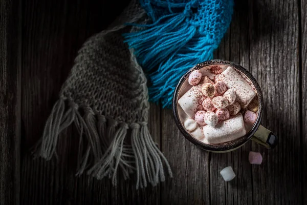 Cacao casero y caliente con bufanda azul para Navidad —  Fotos de Stock