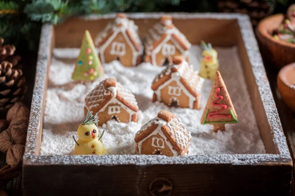 Домашние пряничные домики на Рождество с елками и снегом — стоковое фото