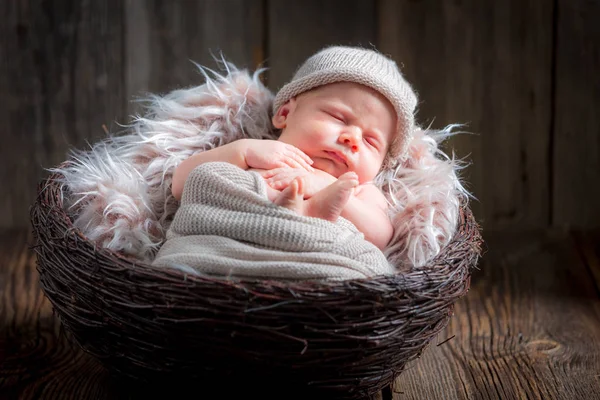 Милый новорожденный ребенок спит в корзине — стоковое фото