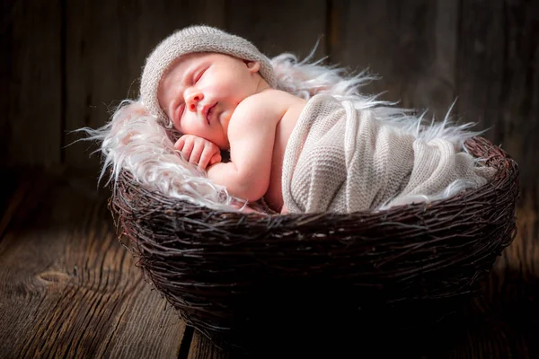 Милый новорожденный ребенок спит в корзине — стоковое фото