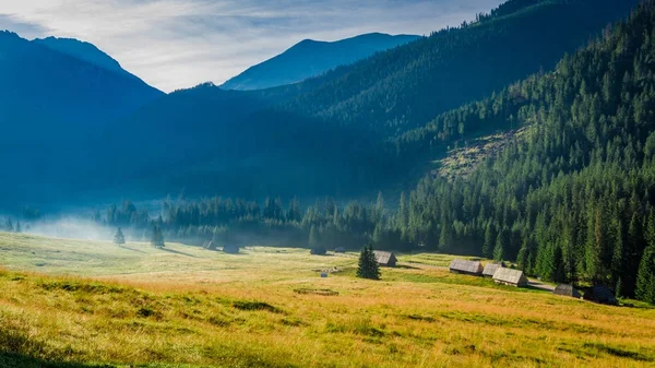 Wschód Słońca w dolinie Chochołowskiej, Tatry w Polsce — Zdjęcie stockowe