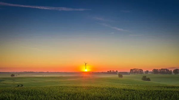 Mooie zonsopgang bij mistig veld in de zomer — Stockfoto