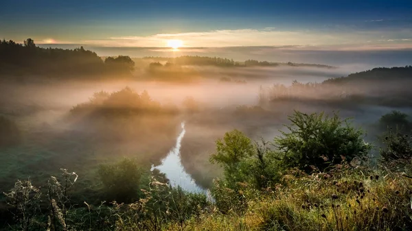 Ősszel a ködös völgyben csodálatos Hajnal — Stock Fotó