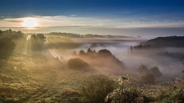 Beautiful sunrise at foggy valley in autumn — Stock Photo, Image