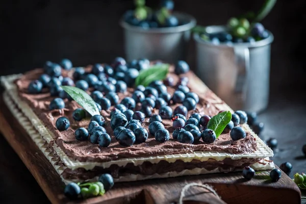 Closeup of wafers made of fresh berries and chocolate — Stock Photo, Image