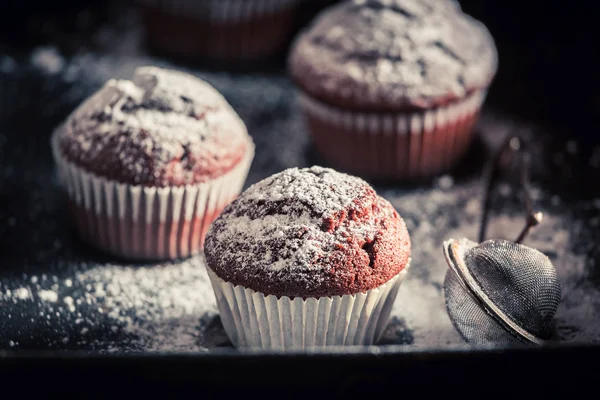 Słodkie i pyszne chocolate muffin z cukru pudru — Zdjęcie stockowe
