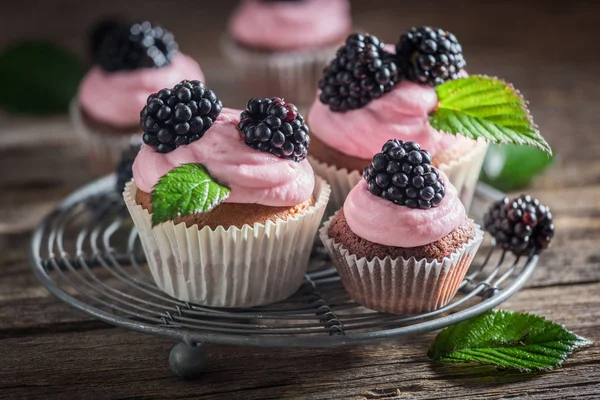 Delicious blackberry cupcake made of cream and fruits — Stock Photo, Image