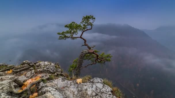 Sokolica Pieniny en yüksek Dağları, Polonya, Timelapse gündoğumu — Stok video