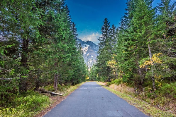 Dark road leading to the mountains at autumn — Stock Photo, Image