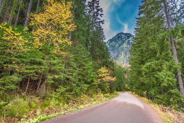 Strada buia e foresta nelle montagne Tatra in autunno — Foto Stock